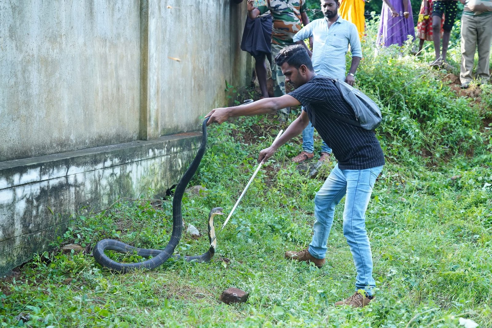 gallery images