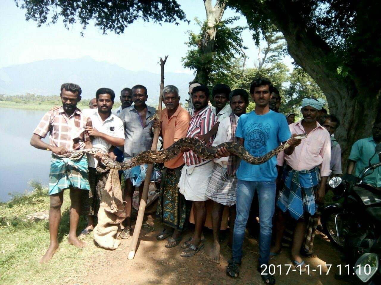 gallery images
