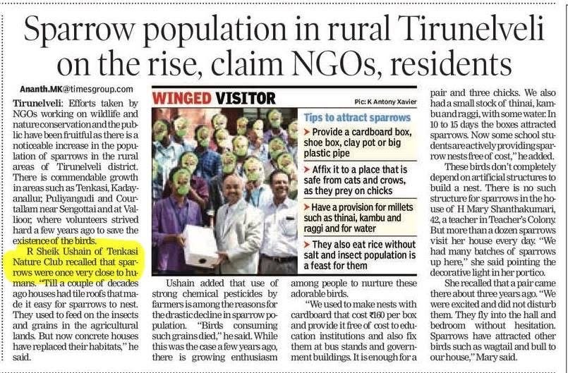 Sparrow Population in Rural Tirunelveli on the Rise, Claim NGOs and Residents